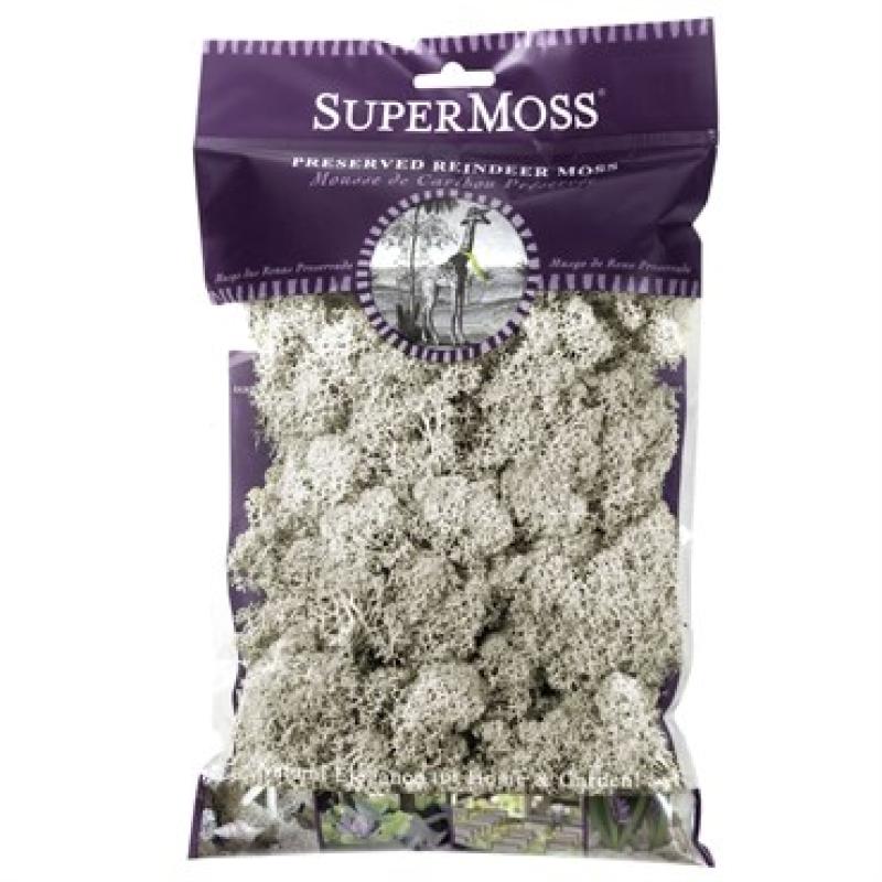 An image of Reindeer Moss Chartreuse 2 oz