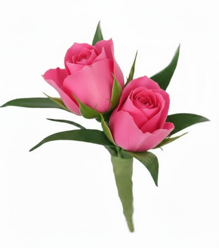 An image of Boutonniere Spray Rose Red Standard