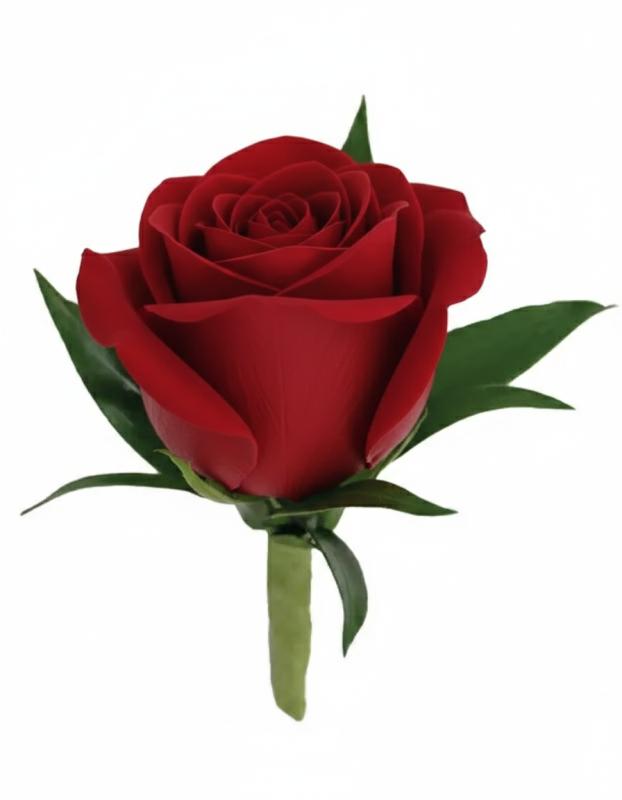 An image of Boutonniere Rose Pink Standard