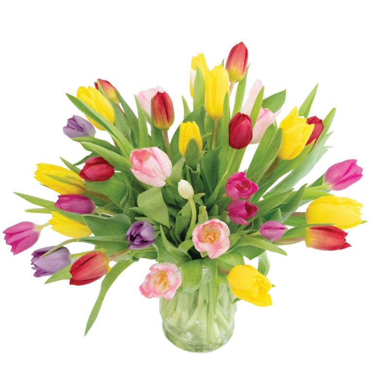 An image of 3 Dozen Mixed tulips