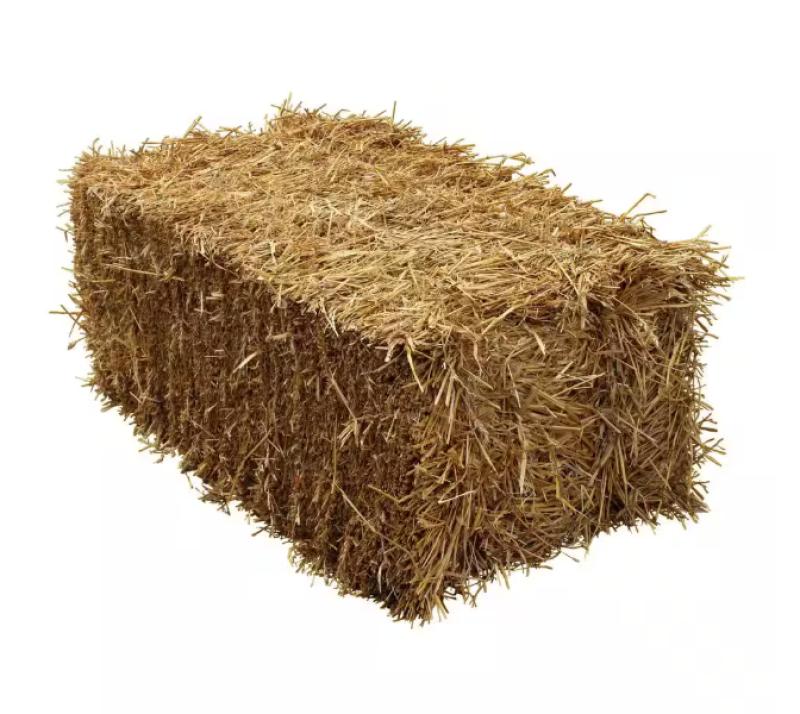 An image of Bale of Straw Mini