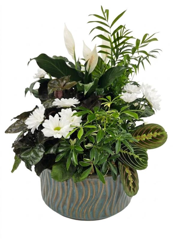 An image of Planter With Cuts Medium In Basket
