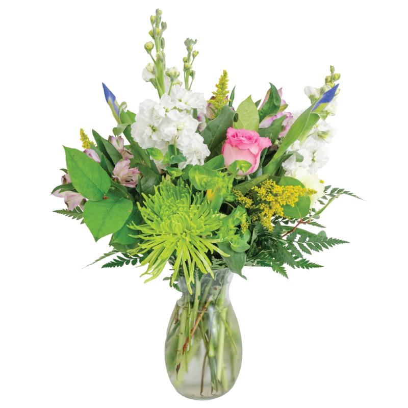 An image of Emerge - Standard