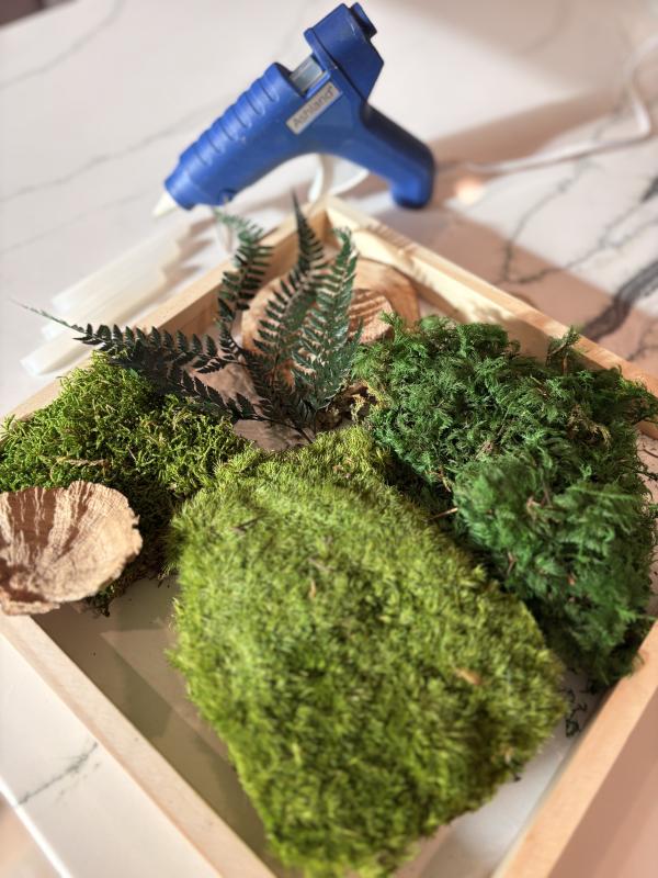 An image of Moss Art Workshop with WoodSolStone Studio May 30 11:00am 1 spot on May 30 @ 11 am