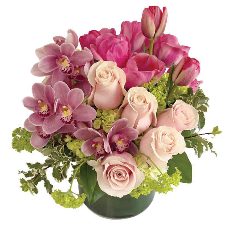 An image of Parisian Blush Deluxe