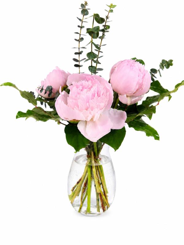 An image of Petal Poetry Standard