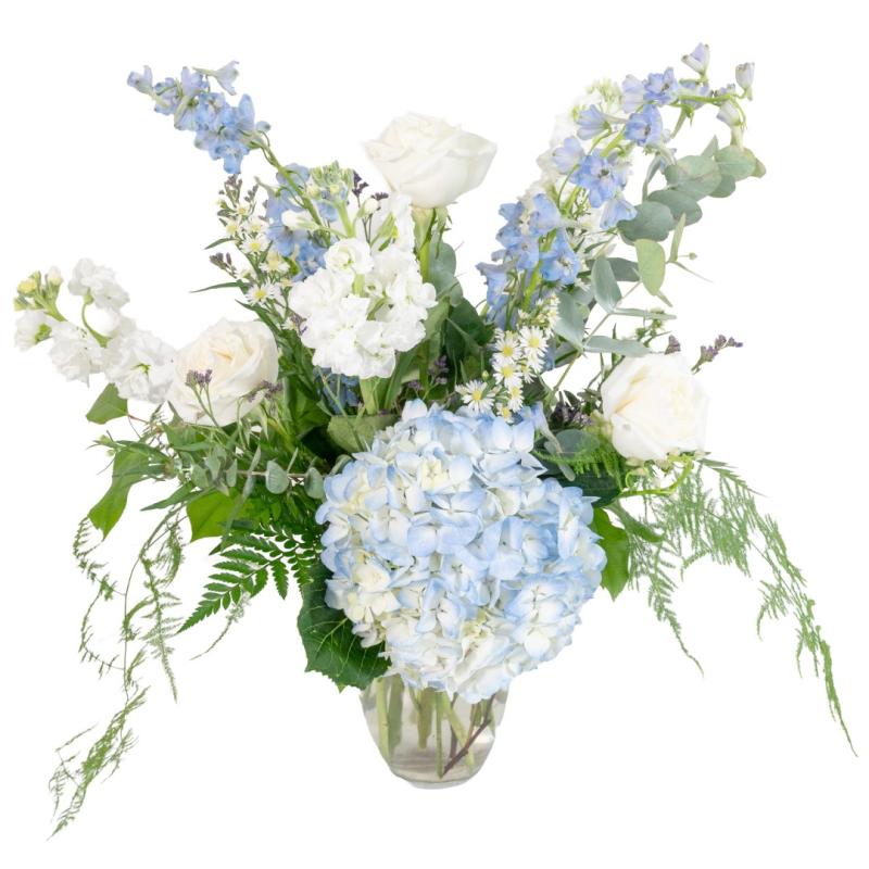An image of Blue Star Serenade June 2026 - Blue Star Mothers Premium