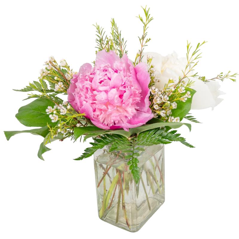 An image of Pink & Pearl Peonies Standard