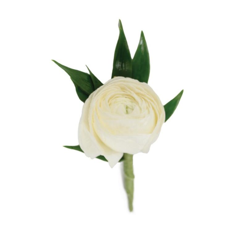 An image of Boutonniere Ranunculus White Standard