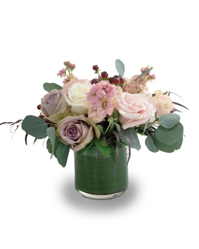 An image of Dusty Rose Sunset Standard