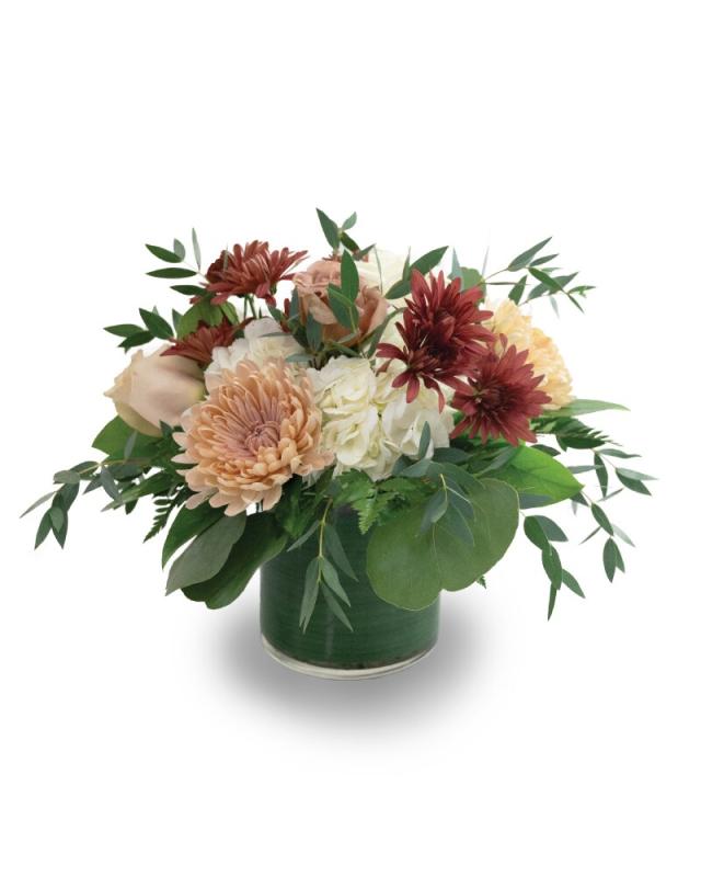 An image of Amber Amour Standard