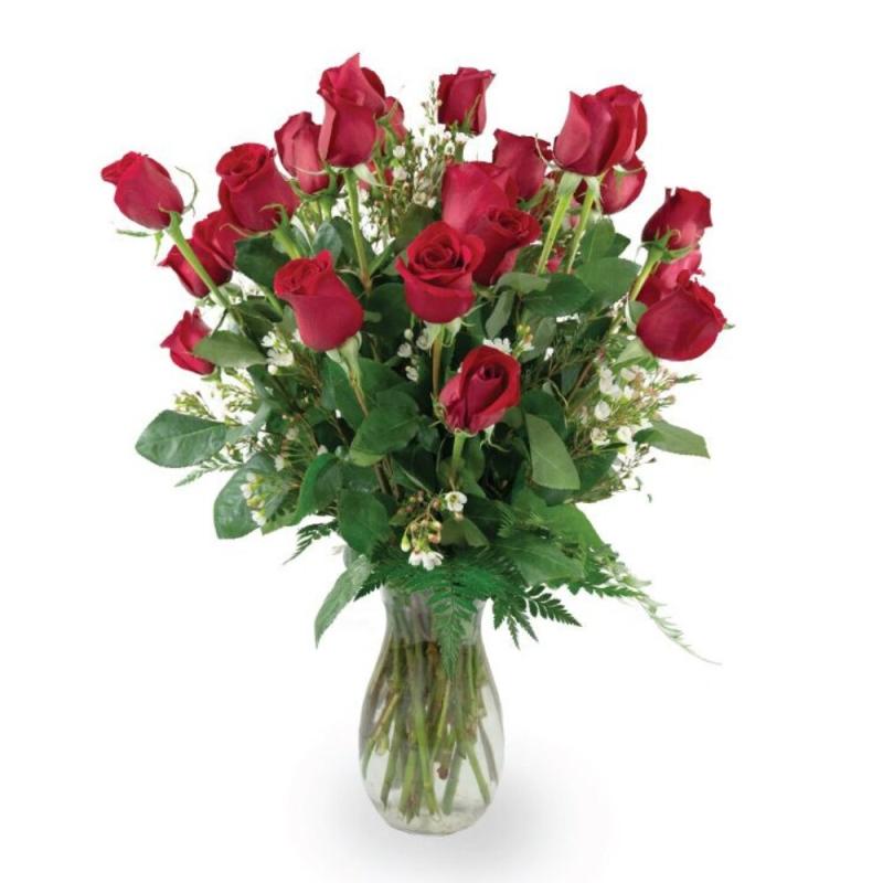 An image of Three Dozen Roses White