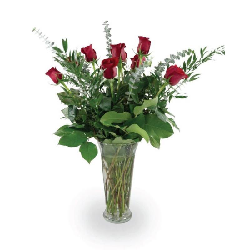 An image of Premium Roses Pink 2 Dozen