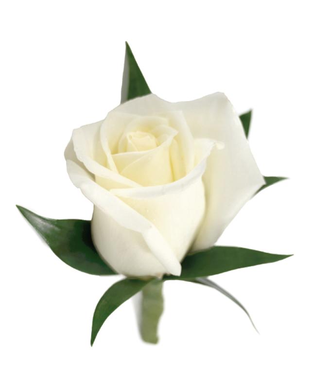An image of Boutonniere Rose Yellow Deluxe