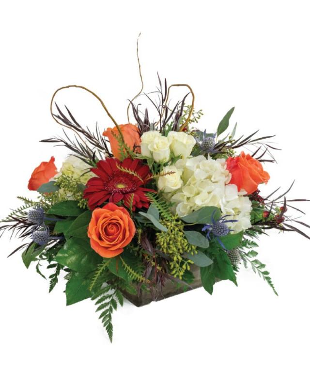 An image of Fire Dancer Standard