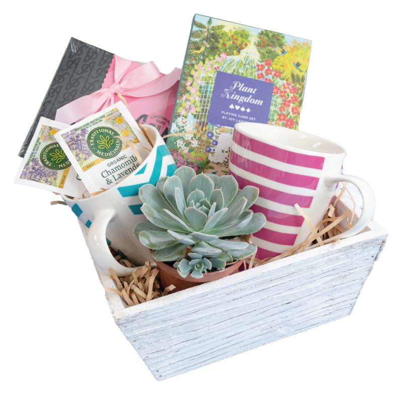 An image of Sweet Surprise