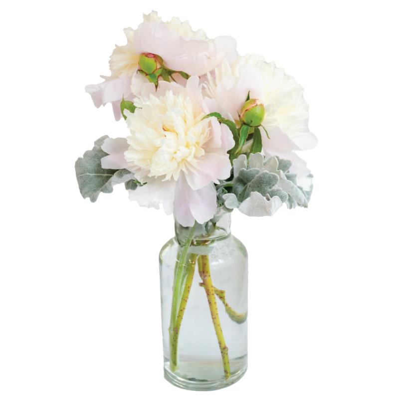 An image of May Peony Special