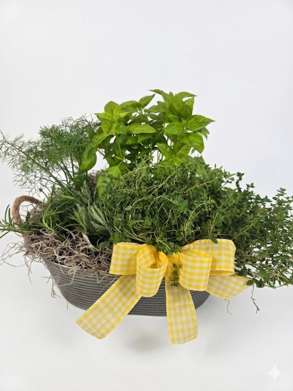 An image of Herb Planter standard