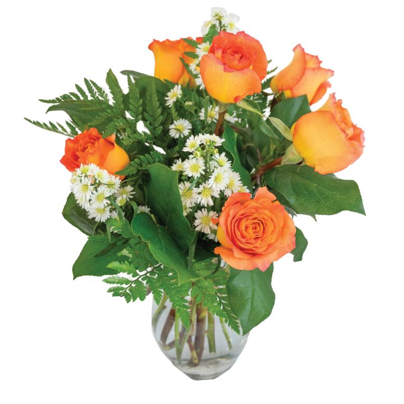 An image of Tangerine Dream