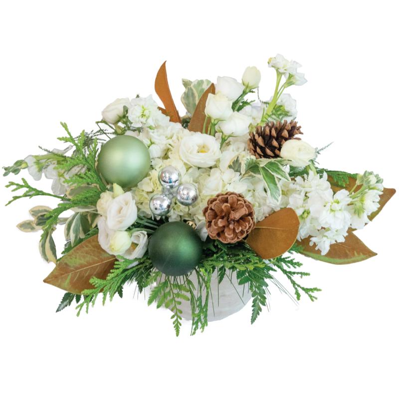 An image of Effervescent Evergreens