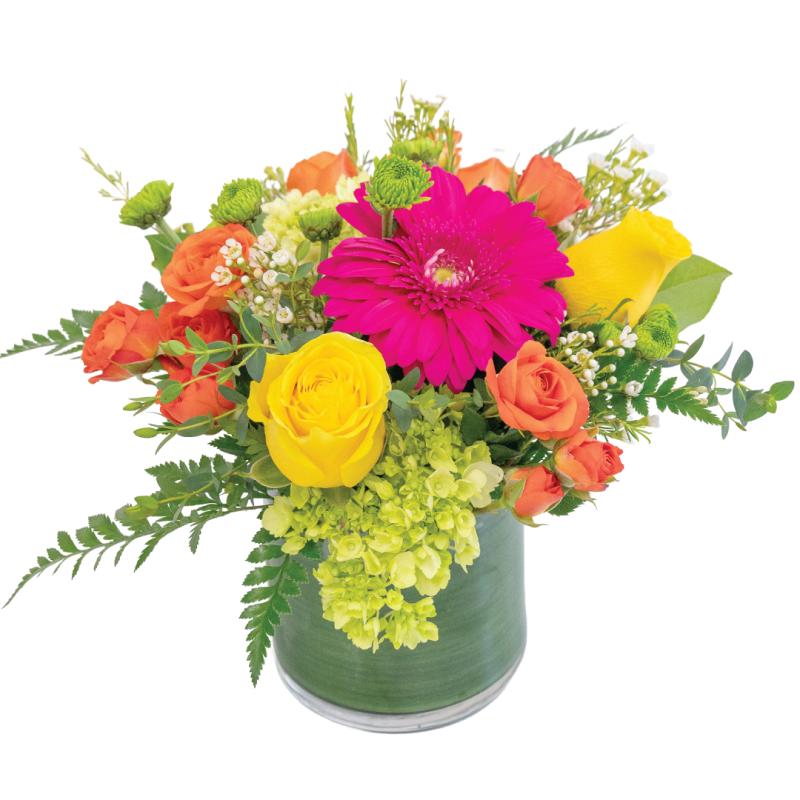 An image of Cute As A Button