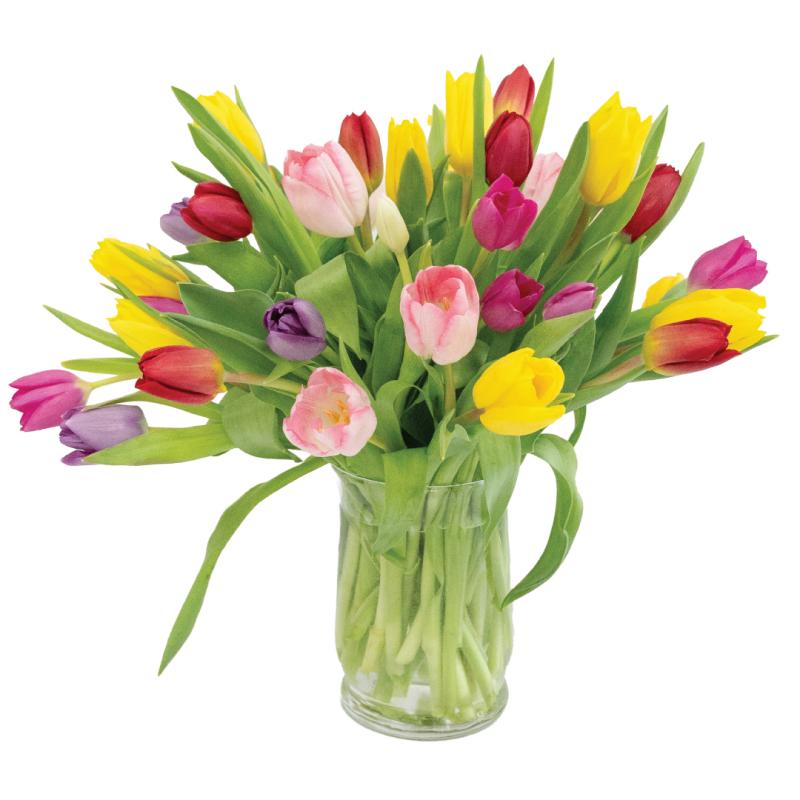 An image of 3 Dozen Mixed tulips