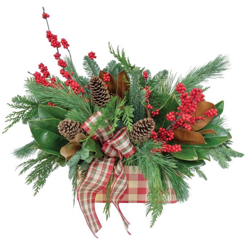 An image of Woodland Wonderland