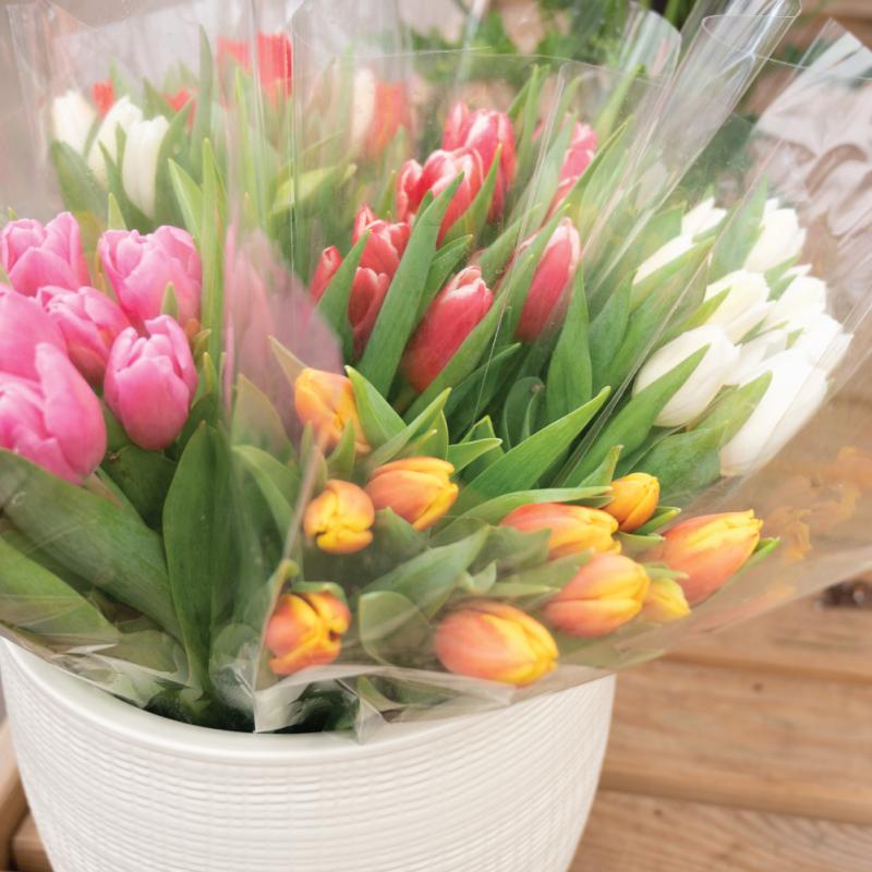 An image of Spring Blooms & Bites Night at Benken