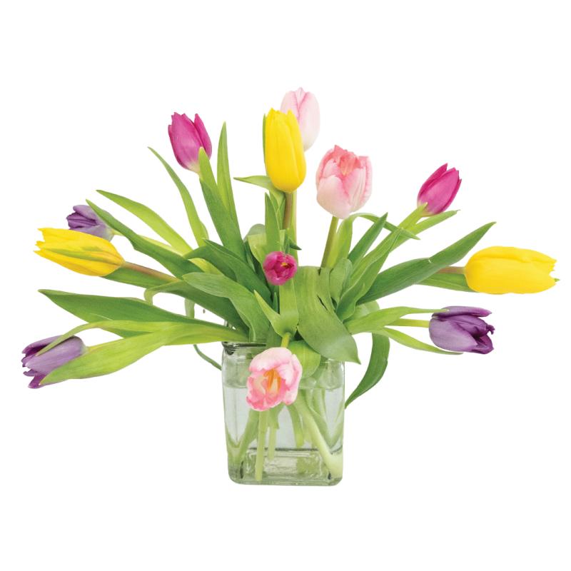 An image of One Dozen Mixed Tulips