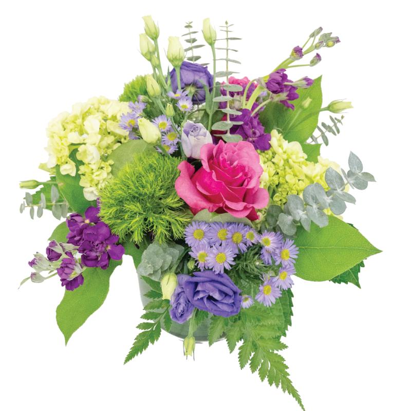 An image of Modern Meadow