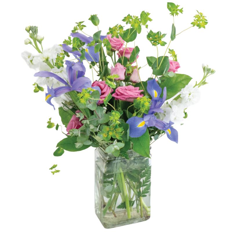 An image of Spring Awakening