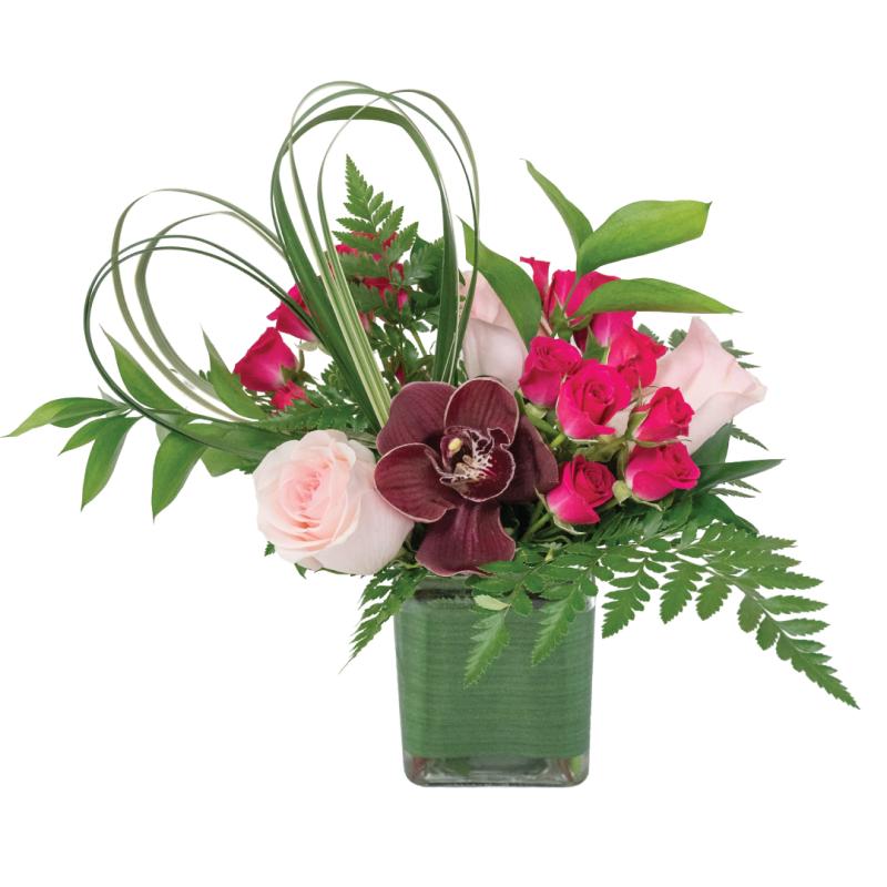 An image of Sweetheart Symphony Standard