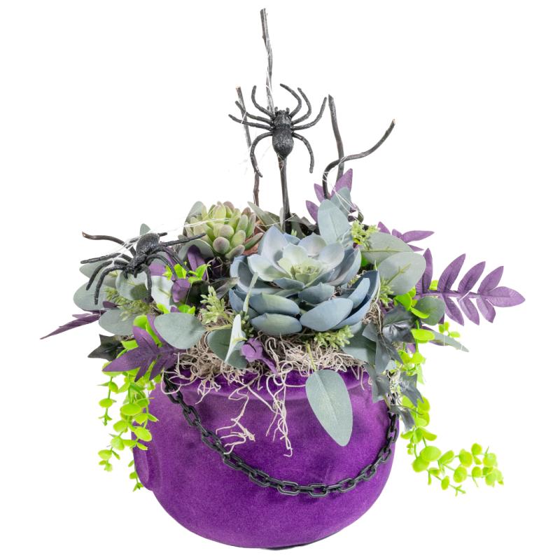 An image of Spooky Succulent Cauldron Workshop Oct 1 6:00pm 1 spot 10/1 @ 6 pm