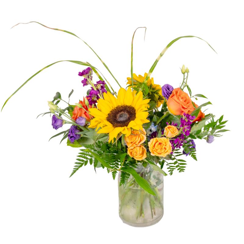 An image of Fields Of Hope September 2026 - CancerFree KIDS Standard