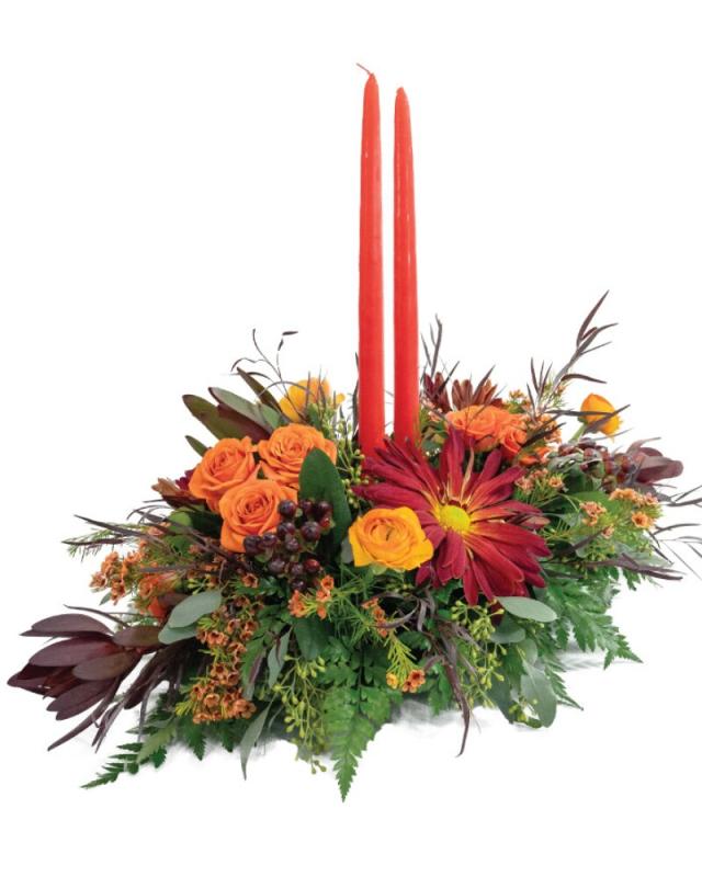 An image of Fall Splendor Deluxe