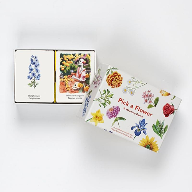 An image of Pick a Flower