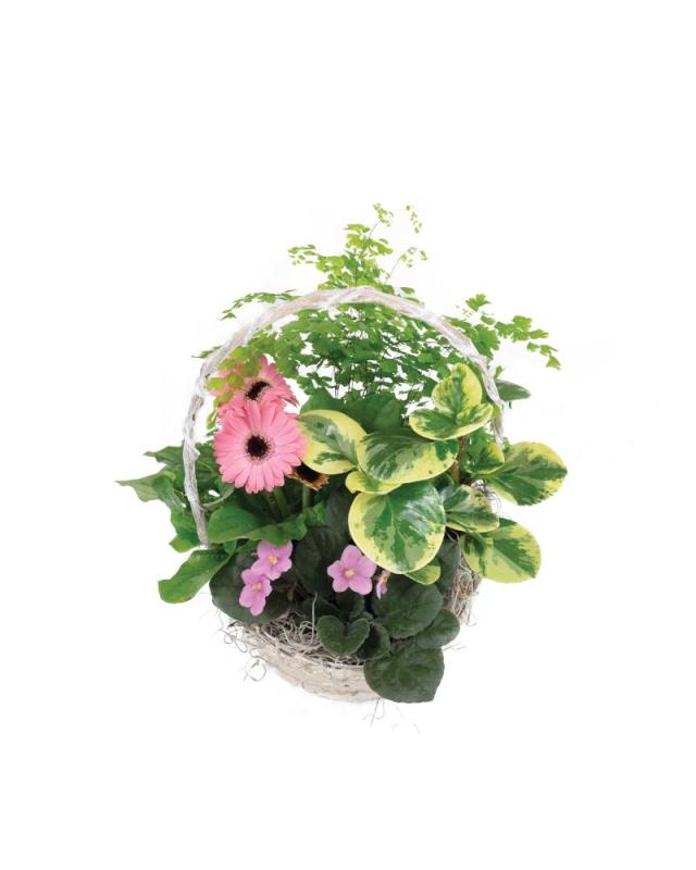 An image of Basket of Blooming 9-10"
