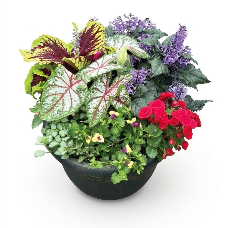 An image of Combo Pot Shade 12" Vibrant Pot