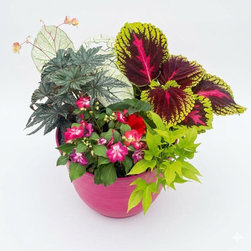 An image of Combo Pot Shade 12" Vibrant Pot
