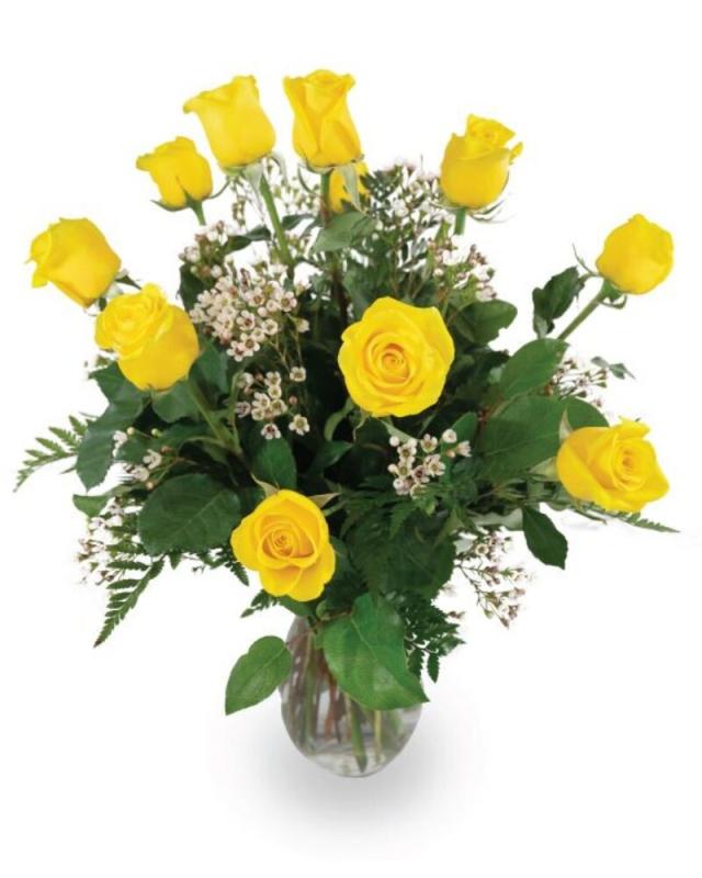 An image of One Dozen Roses Novelty