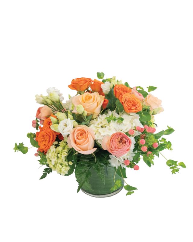 An image of Penelope Arrangement