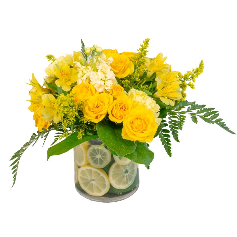 An image of Citrus Lemon Standard