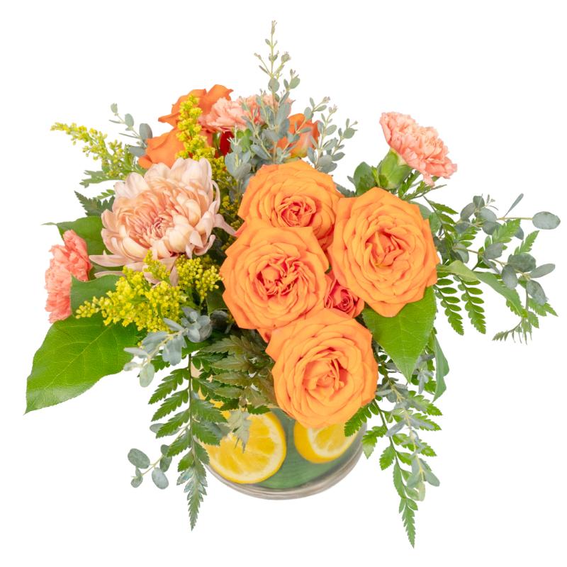 An image of Citrus Orange Standard