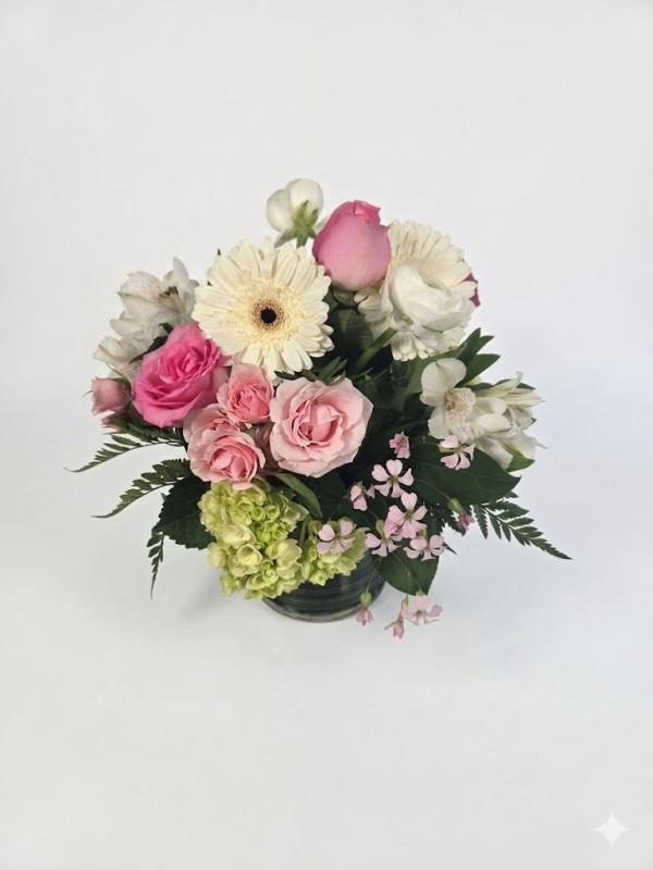 An image of Sweet Pea Standard