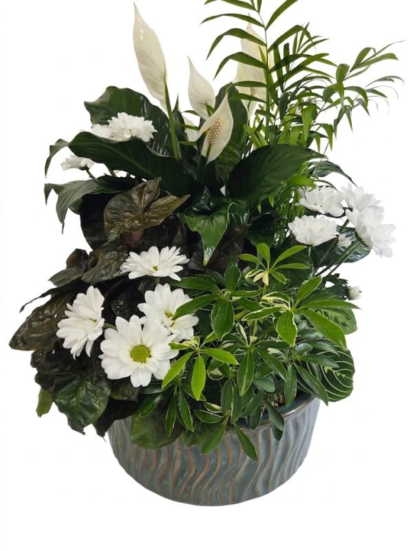 An image of Planter With Cuts Medium In Basket