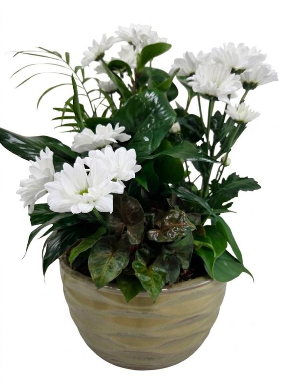 An image of Planter With Cuts Medium In Basket
