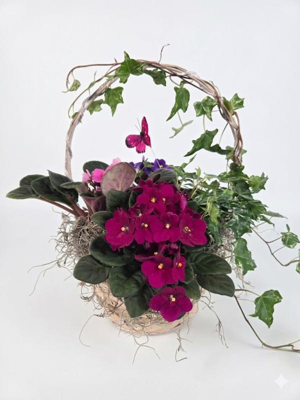 An image of Benken Violets And Butterflies Standard