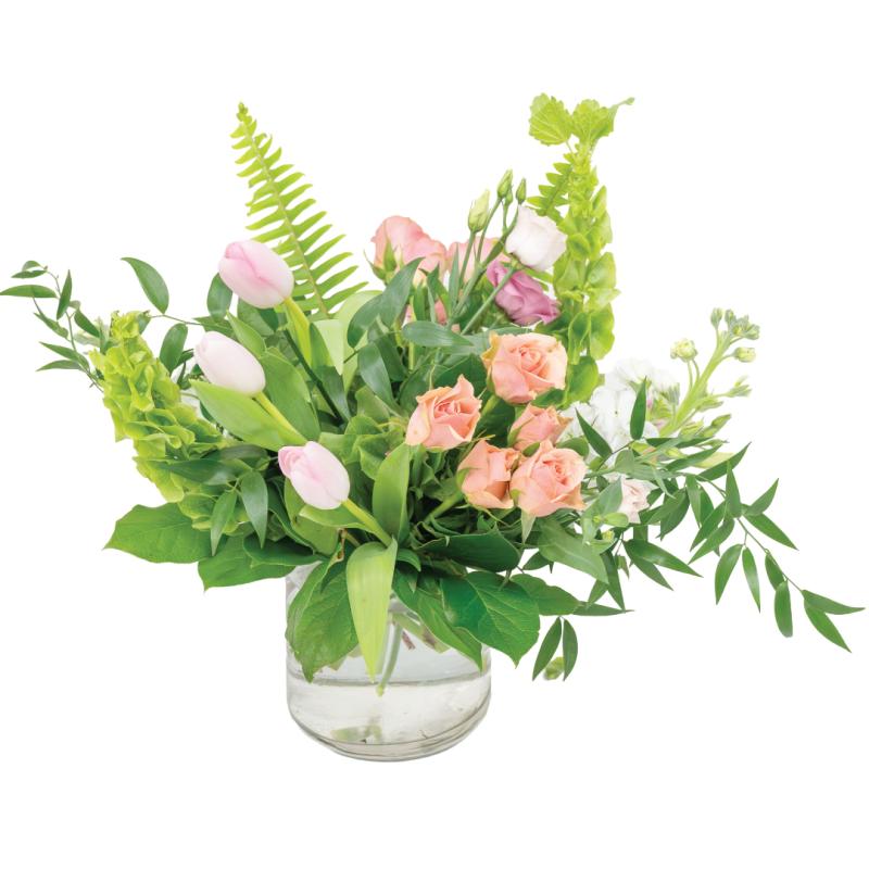 An image of Lainey May 2026 - Esther Marie Hatton Center for Women Standard