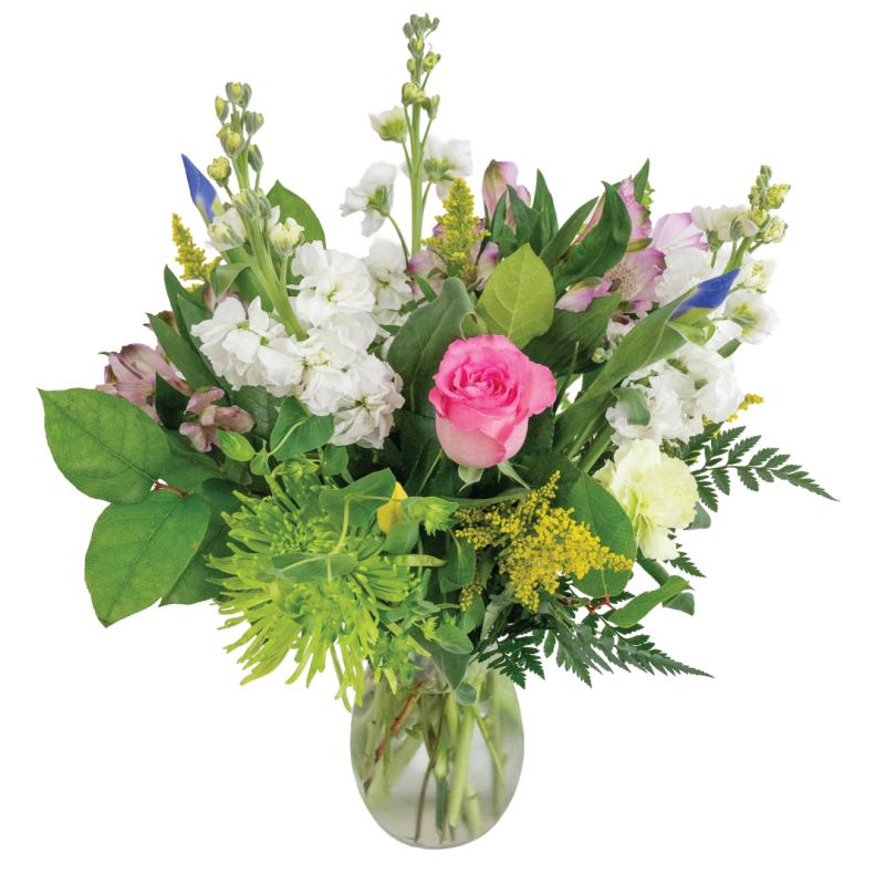 An image of Emerge - Standard