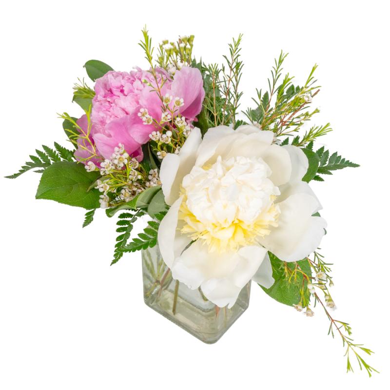 An image of Pink & Pearl Peonies Standard